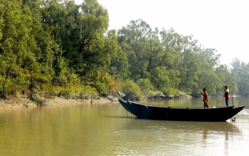 সুন্দরবন দিবসে দখল, দূষণ ও শিকার বন্ধে জোরালো উদ্যোগের দাবি