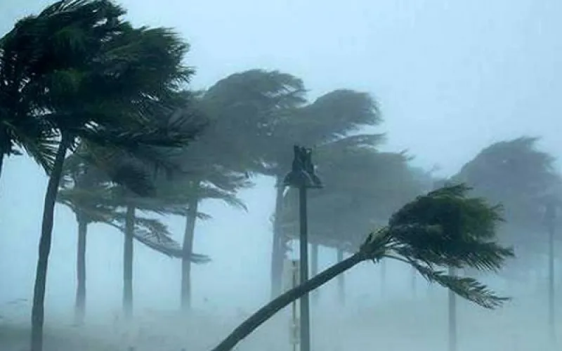 সংগ্রহীত ছবি