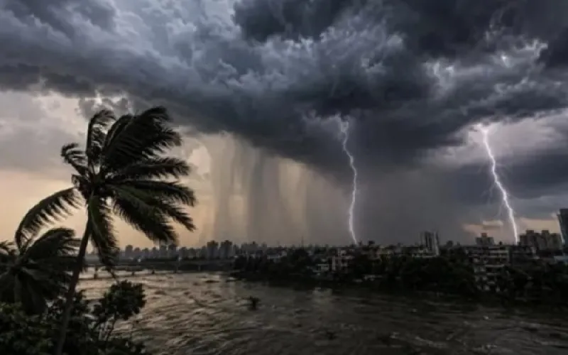 সংগ্রহীত ছবি